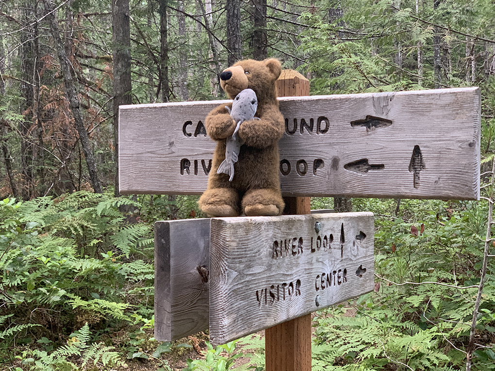 Bear and sign